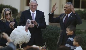 El presidente Barack Obama otorgó el perdón a un pavo, una acto tradicional que se realiza año con año