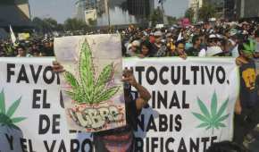 Grupos que piden la despenalización de la marihuana obtuvieron su primer victoria con el consumo legal para fines medicionales