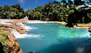 Las cascadas de Agua Azul fueron declaradas Reserva Natural de la Biósfera desde 1980