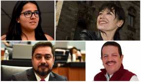 Patricia Ortiz, María Rojo, Vidal Llerenas y Fadlala Akabani son algunos de los posibles candidatos delegacionales