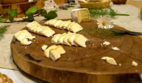 En rancho Santa Marina elaboran quesos orgánicos de oveja