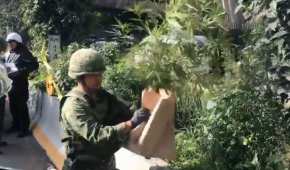 Militares retiraron las plantas ubicadas en Naucalpan