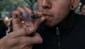 En los últimos años se han presentado varias iniciativas de ley para legalizar la cannabis para distintos usos