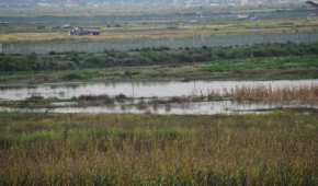 El lago de Texcoco ha sufrido daños ambientales por la construcción, dicen críticos