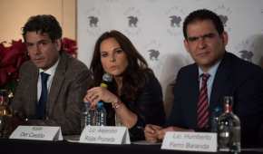 La actriz Kate del Castillo se dijo víctima del gobierno de Enrique Peña Nieto