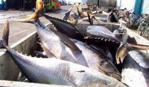 La Profeco revisó qué tanta soya tienen las marcas de atún enlatado