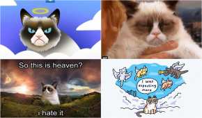Internet se llenó de memes por la muerte de la famosa gatita 'Grumpy Cat'