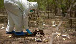 Autoridades encontraron cientos de bolsas con restos humanos en La Primavera, ubicado en Jalisco.