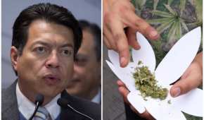 Mario Delgado busca que el monopolio de la cannabis pertenezca al estado