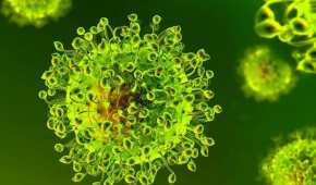 El coronavirus puede confundirse con un resfriado común