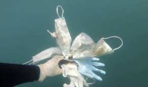 Un grupo ambientalista en Francia detectó guantes de plástico en el mar