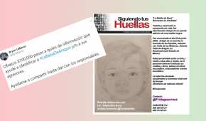 La activista Frida Guerrera pidió en redes sociales apoyo para encontrar a los responsables del crimen