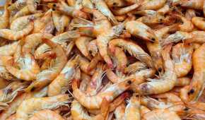 Autoridades chinas detectaron rastros de COVID-19 en algunas importaciones de camarón