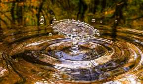Científicos aseguran que hay dos estados líquidos del agua