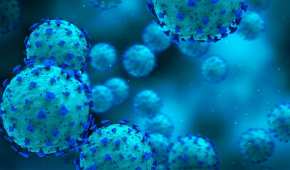 Los cientificos han descubierto cómo bloquear el virus que provoca COVID-19