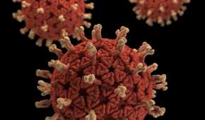a inmunidad colectiva ha sido una estrategia para responder a una pandemia
