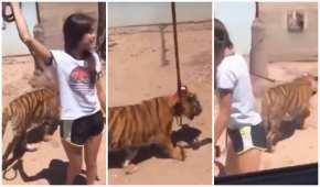 En el video, la menor aparece paseando con una correa a un tigre