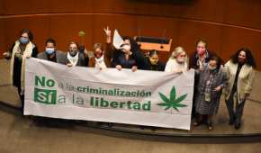 El decreto apobado prevé la creación de la Ley para la Regulación del Cannabis; va a Diputados