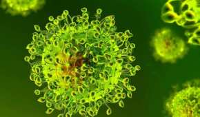 Se han identificado más de mil casos de una nueva variante de coronavirus