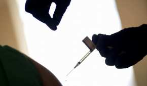 Los especialistas analizan quiénes son la prioridad para que sean vacunados
