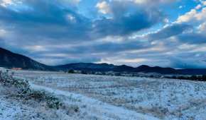 Los primeros copos de nieve empezaron a caer en la zona serrana de Arteaga, Coahuila, esta madrugada