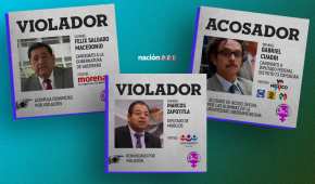 La Observatoria Ciudadana señala que Morena y el PAN son los partidos que más denuncias de violencia de género acumulan