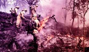 Jalisco es uno de los principales estados que más ha sufrido incendios forestales