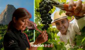 En Querétaro puedes pasar unos días, disfrutando la naturaleza y su vino