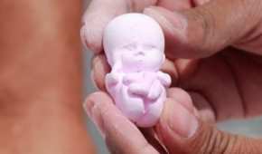 En los casi 60 días de campaña, ha entregado alrededor de 10 mil fetos elaborados con yeso por él mismo