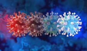 Los niveles de anticuerpos en personas infectadas por el virus se mantienen más de un año después del contagio