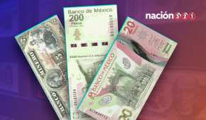 Los billetes en México se producen en "familias" que unifican diseño, medidas, denominaciones y estilos
