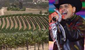 Resultarían afectadas entre 16 y 25 hectáreas de la zona vinícola del estado de Baja California