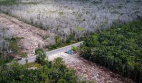 Indicaron que hay una deforestación en Playa del Carmen, Río Secreto, Akumal y Tulum sin los estudios.