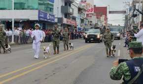 Ambos canes recibieron adiestramiento militar para acciones de rescate.