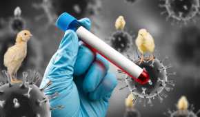 Un caso de  influenza aviar de alta patogenicidad AH5N1