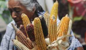 Los senadores reprobaron el acuerdo de AMLO para prohibir la importación de maíz transgénico.