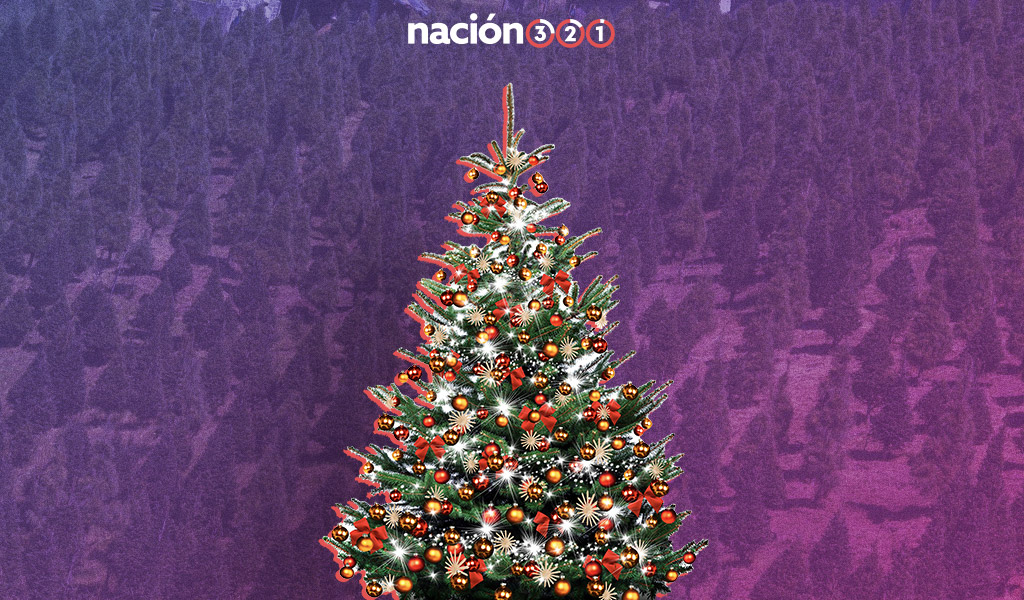 ¿Dónde comprar árboles de Navidad naturales en la CDMX?