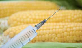 Canadá ha solicitado consultas con México por sus medidas sobre productos agrícolas genéticamente modificados