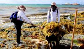 Se avecinan las vacaciones de Semana Santa y Pascua, pero especialistas advierten que la presencia de algas pondría en riesgo el turismo