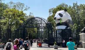 Uno de los principales atractivos es la figura de un panda gigante que engalana la entrada del Bosque de Chapultepec