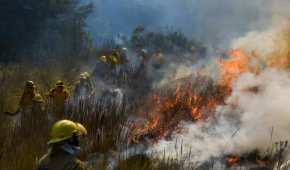 En lo que va del año registrado 161 incendios forestales en la entidad
