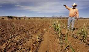 En el estado, tiene a 9 municipios con sequía severa