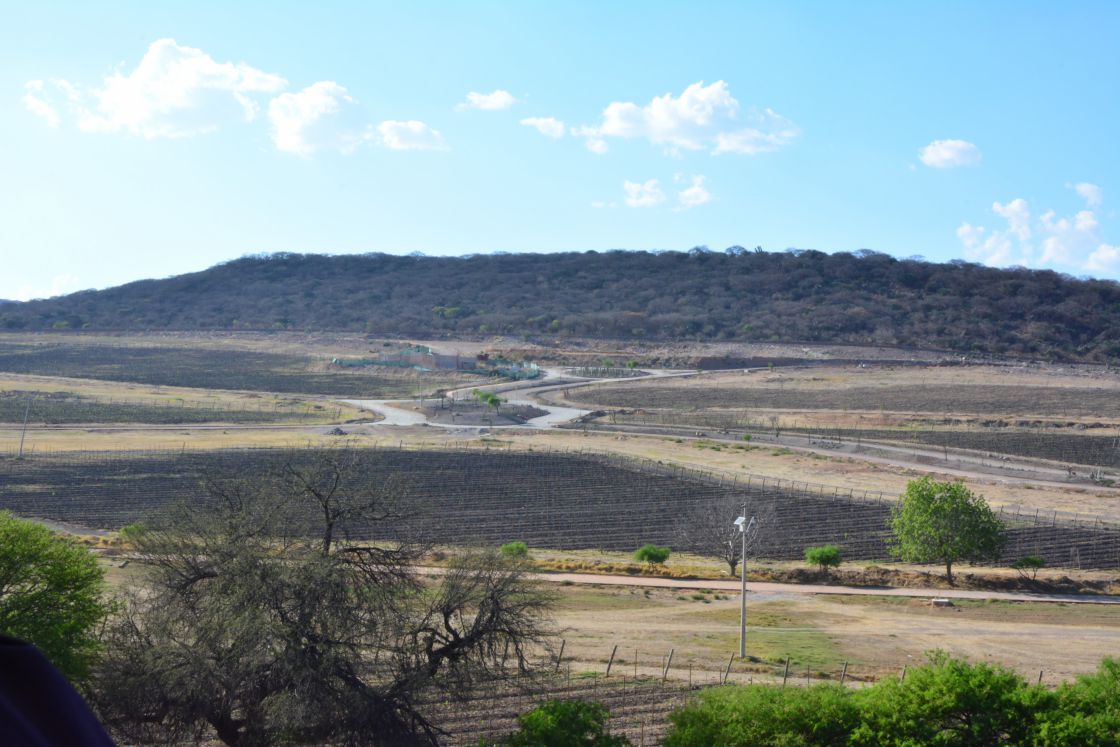Vista desde la Hacienda Puerta del Lobo