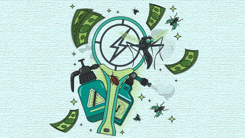 Toma tus precauciones, que las plagas por lluvias no perforen tu bolsillo