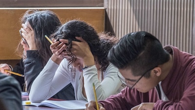Si no te quedaste en alguna universidad pública, revisa las opciones que ofrece el gobierno