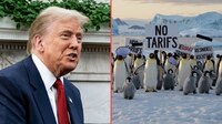 Trump impone aranceles a isla habitada por pingüinos y desata burlas en redes
