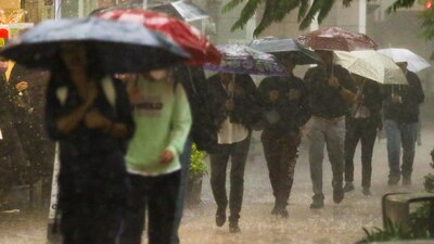 Los estados más afectados serán Durango, Estado de México, Michoacán, Morelos, Puebla y Veracruz