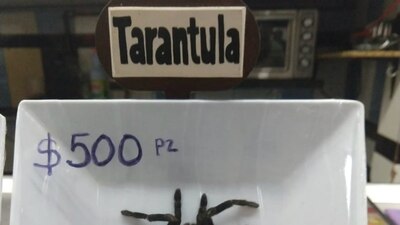 En el mercado de San Juan se vendían tacos de este animal