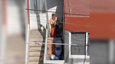 El pequeño era golpeado por su dueño en diferentes momentos del día, acusó un usuario