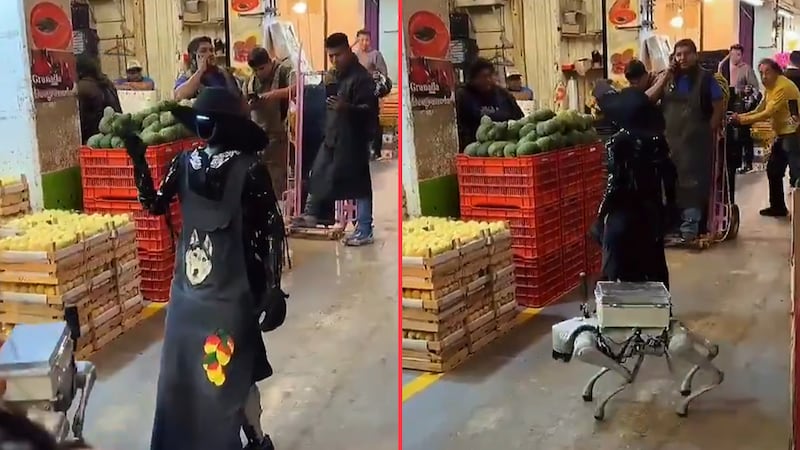 VIDEO: Robot humanoide y perro mecánico sorprenden en la Central de Abasto de la CDMX